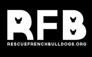 Rescue French Bulldogs